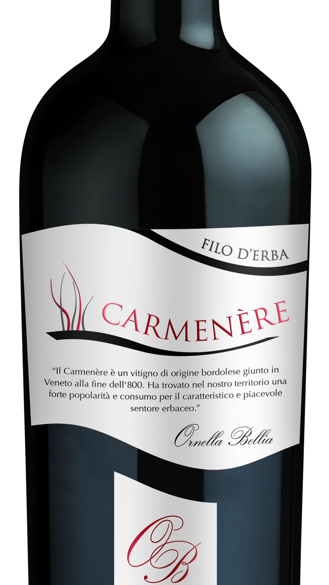 Carmenère DOC Venezia Tipici 2020