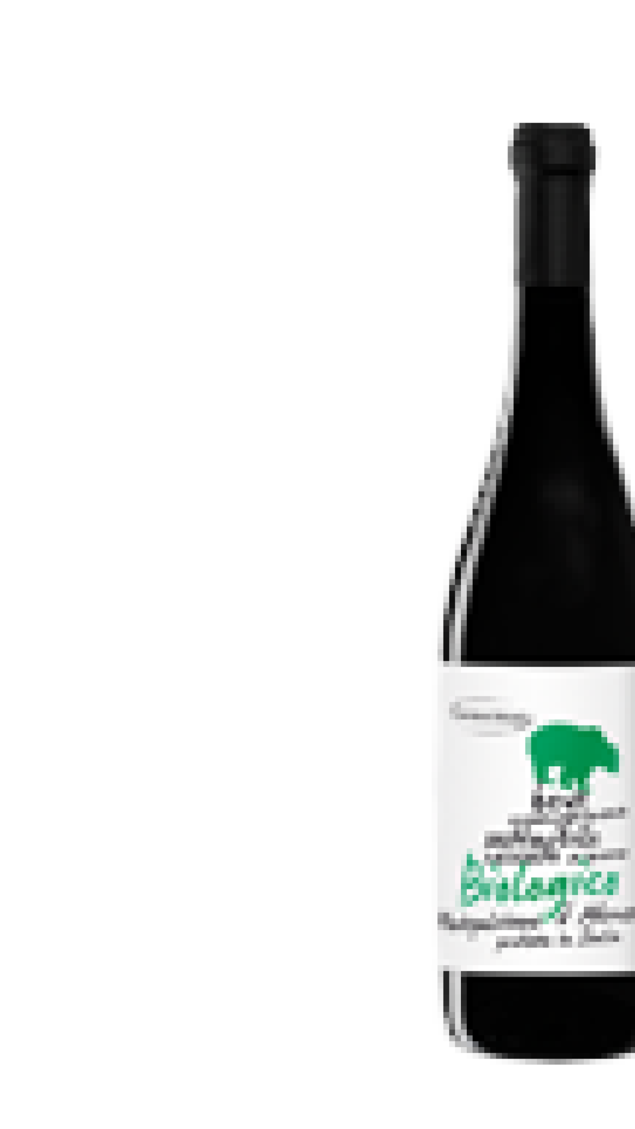 Montepulciano d’Abruzzo DOP Biologico 2021