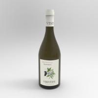 Sauvignon-1.jpg